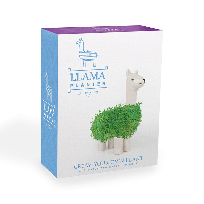 Green Lama mit Chia Samen