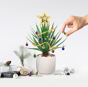Christbaumschmuck für Zimmerpflanzen